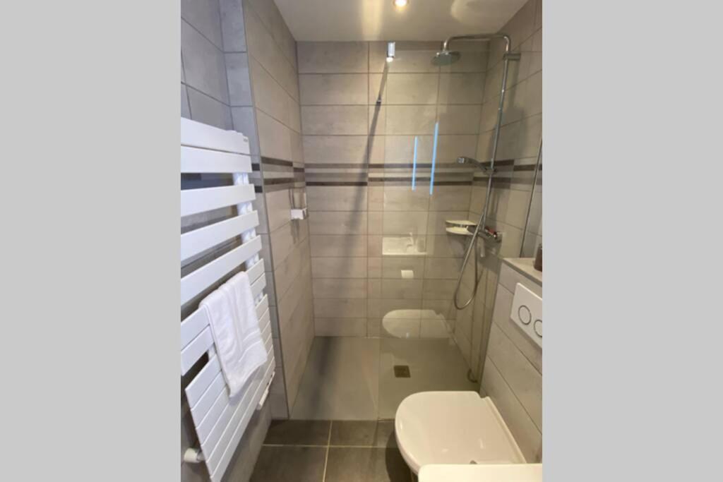 Le Continental Beau T2 Plein Centre + Parking Apartment Annecy Ngoại thất bức ảnh