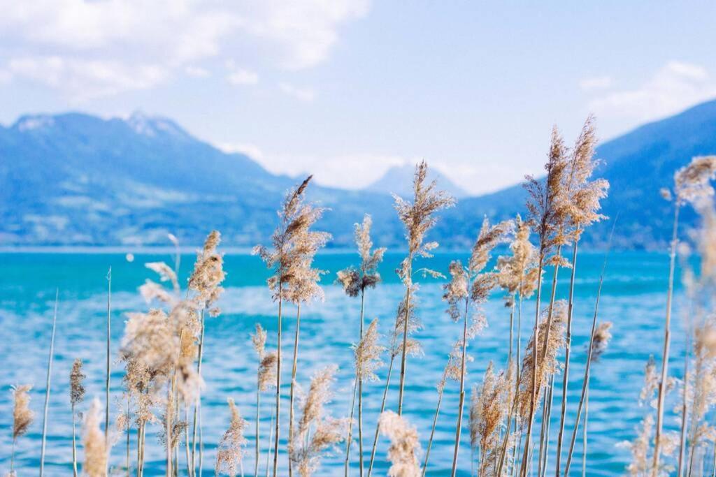 Le Continental Beau T2 Plein Centre + Parking Apartment Annecy Ngoại thất bức ảnh